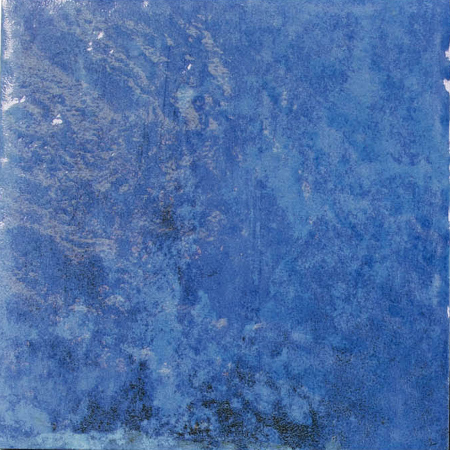 Sea Bed Blue Midst